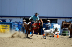 3HRodeo8-11-25_PRCASteer_03656_