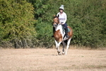 WJ6_7718