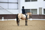 SBM_003934