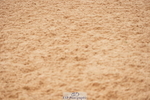 240526A-120416-07937
