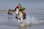 Ride like the wind