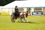 SBM_02667