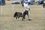 WJ6_5253