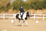 SBM_016755