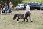 WJ6_5689