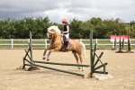 SBM_002932