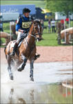 Powderham Castle 4
