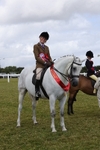 Plaited Ridden Championship portfolio