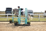 SBM_03331
