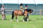 SBM_05734