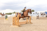 SBM_07455