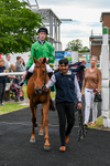 Race 7 18.45pm Sky Bet Build A Bet Fillies' Handicap portfolio
