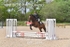 BPP_3854