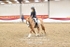 BPP_8196