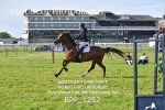 BPP_1252