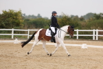 SBM_01490