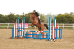 SBM_000207