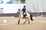 SBM_001209