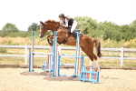 SBM_000978