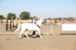 SBM_00162