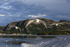 Herring Gulls following boat, Norway