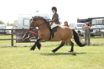 SBM_07713