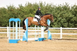 SBM_026135