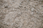 SBM_003027