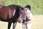 Ring 5 - Inhand Showing and Fun Classes portfolio