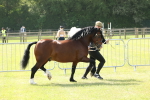 SBM_02107