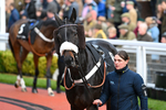 171124-Race 4-Paddock-Abuffalosoldier-3316