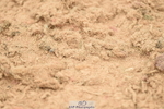 230610A-151148-03987