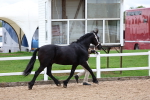 SBM_01167