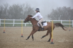 SBM_000963