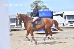 BPP_4664