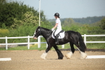 SBM_007883