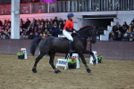 SBM_004498