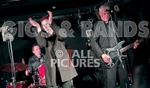 Dr Feelgood-12
