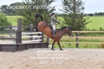 BPP_2782