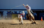 3HRodeo8-11-25_PRCASteer_01296_