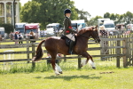 Class 61-62 - TSR  M&M Ridden Amateur of the Year portfolio