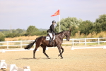 SBM_008468