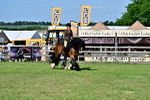 SBM_09358
