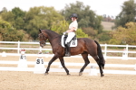 SBM_019226