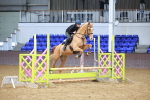 SBM_000185