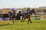 050325-Race 3-Ensel Du Perche-6874