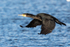 20150322-8E0A8383