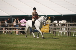 SBM_07660
