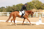 SBM_002038