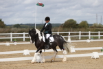 SBM_002188